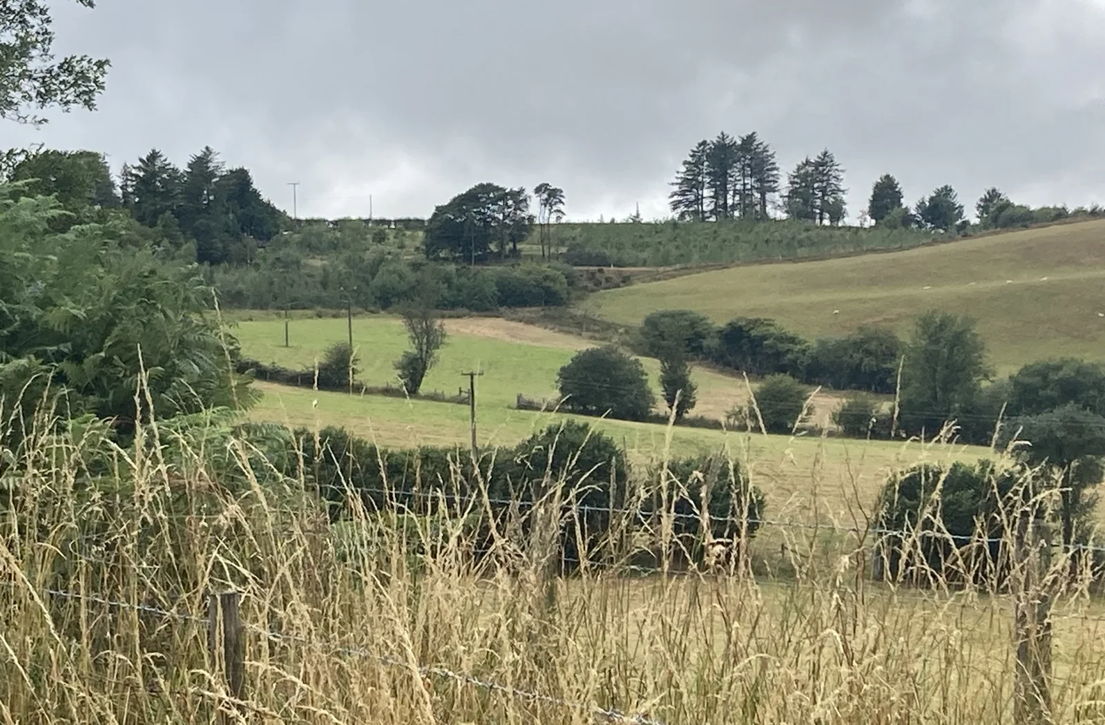 The Live With Nature land seen from a distance in the surrounding Mid-Wales landscape.