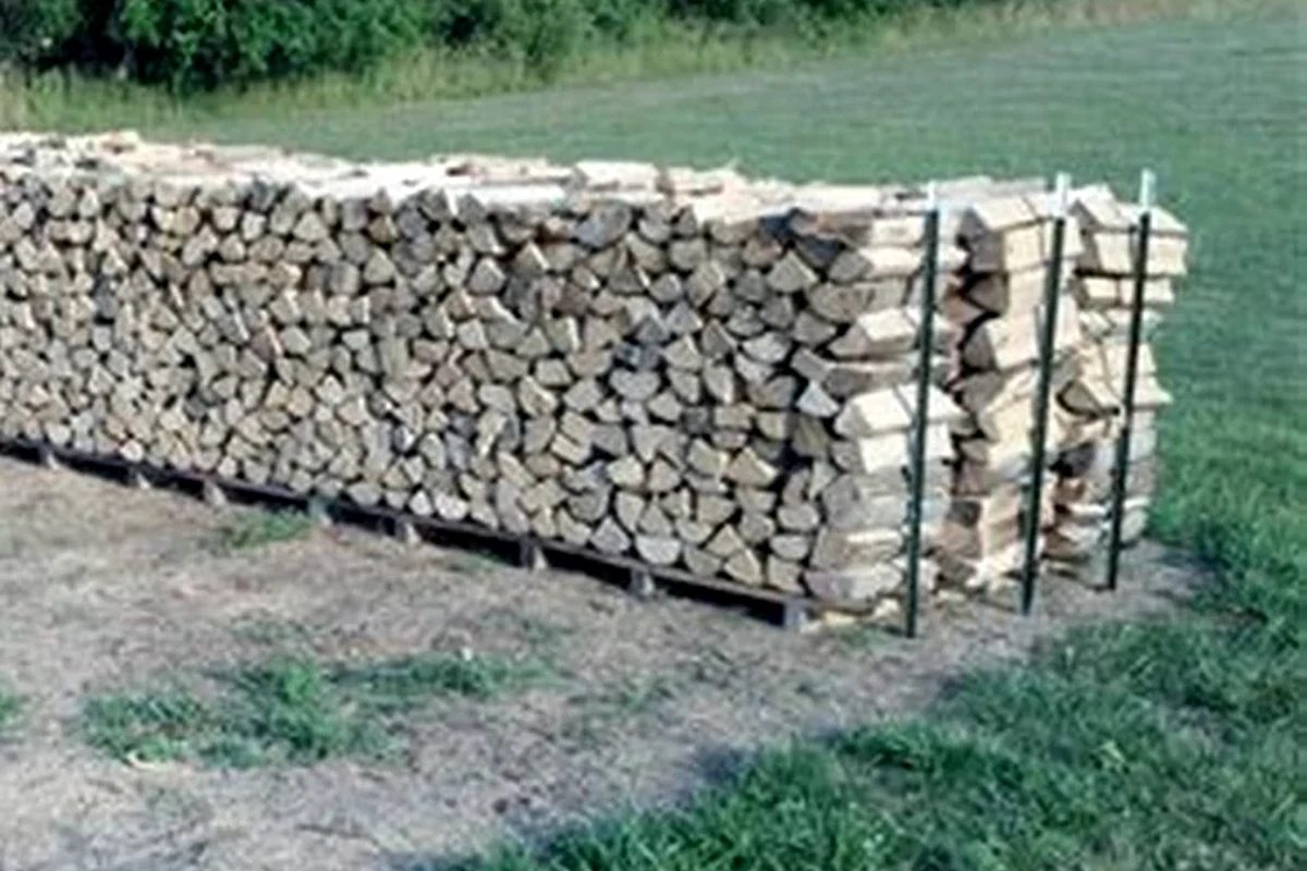 Close documentary detail of real split log ends in an outdoor stack.
