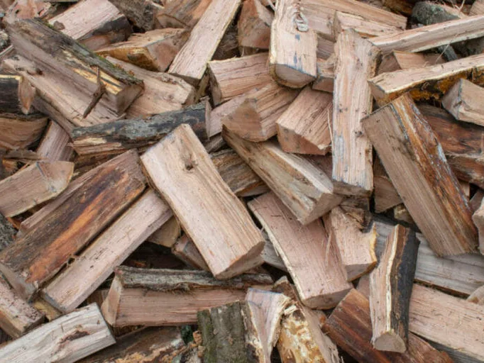 Split Ash firewood reference photograph.