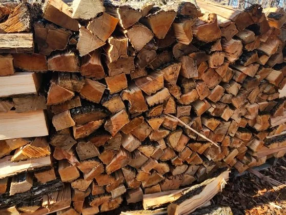 Stacked Leylandii or conifer firewood.