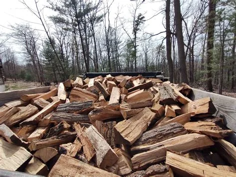 Oak firewood loaded in a trailer.