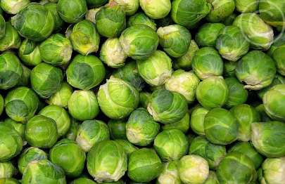 Brussels sprout