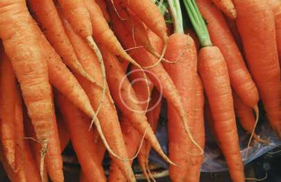 Carrots