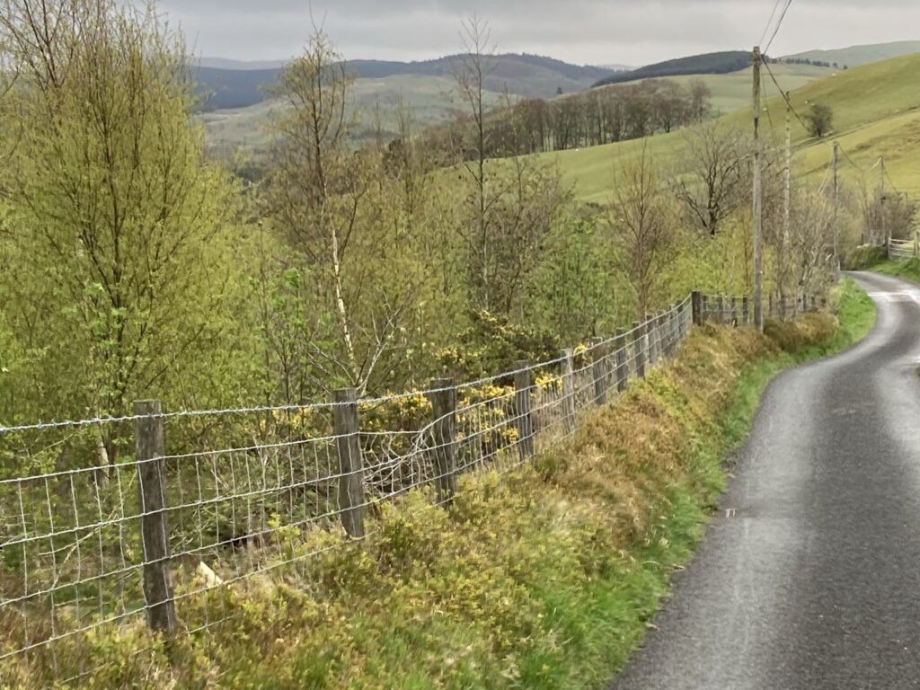 A narrow rural road running through wooded Mid Wales hills.